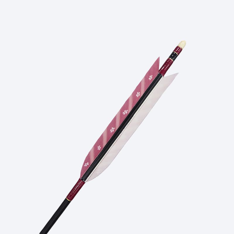 Traditional Japanese arrow 10