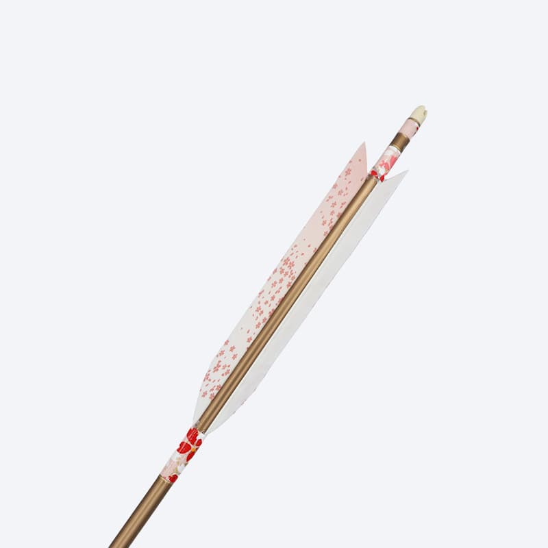 Traditional Japanese arrow 11