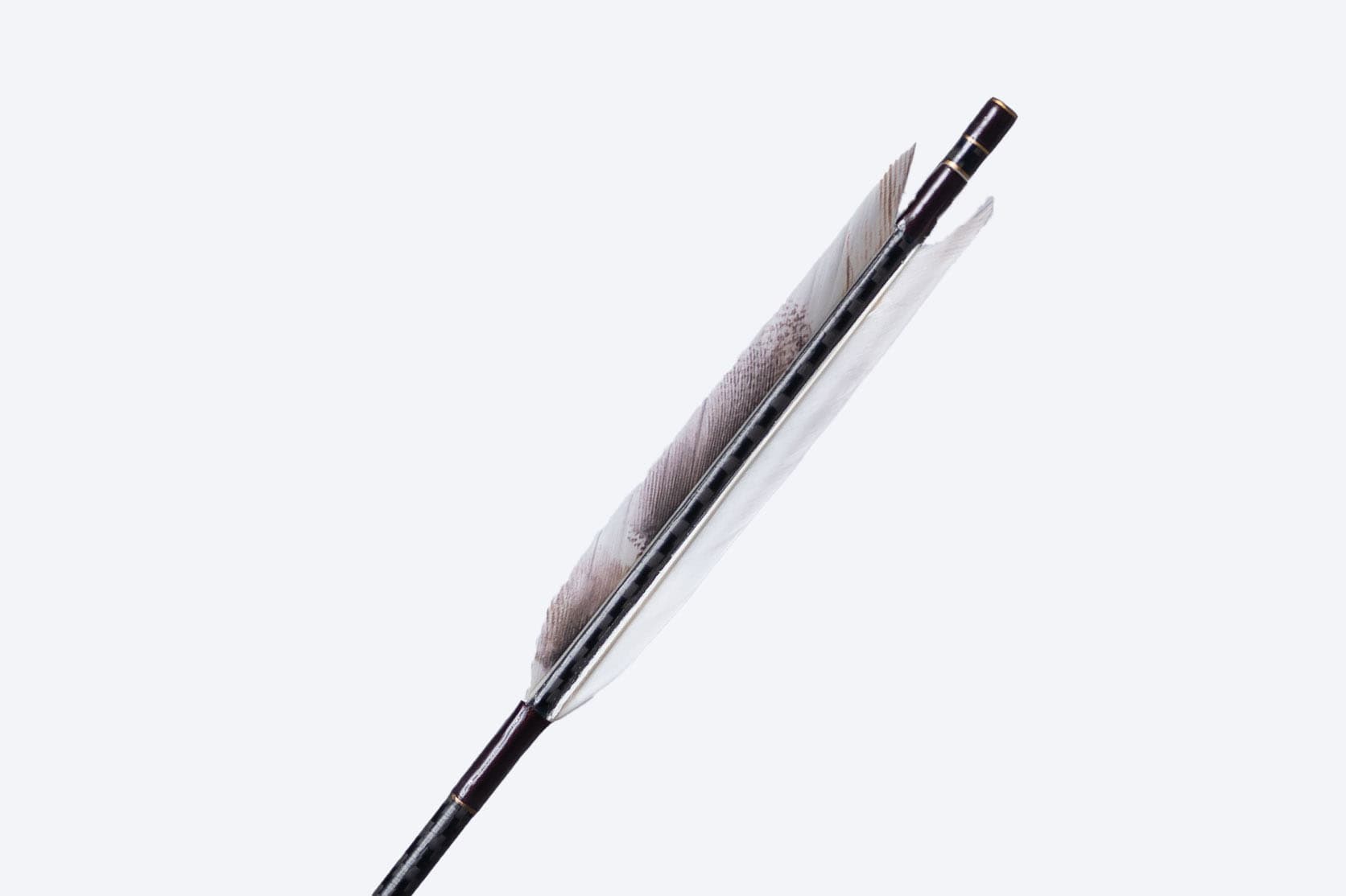 Traditional Japanese arrow 14