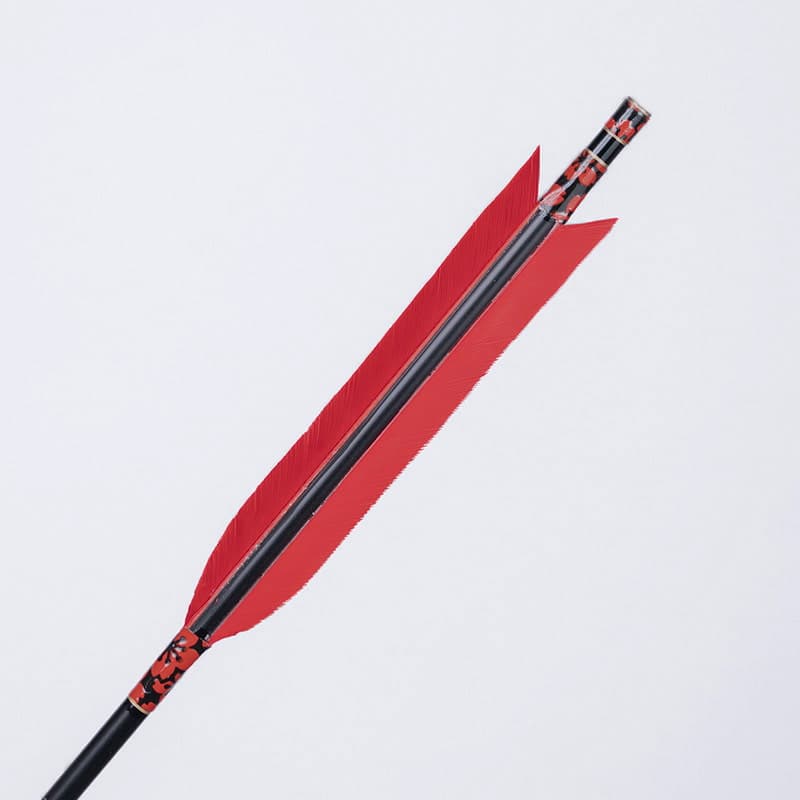 Traditional Japanese arrow 4